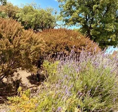 Bienvenue Au Paradis, Vue Imprenable Sur Les Iles Bormes-les-Mimosas